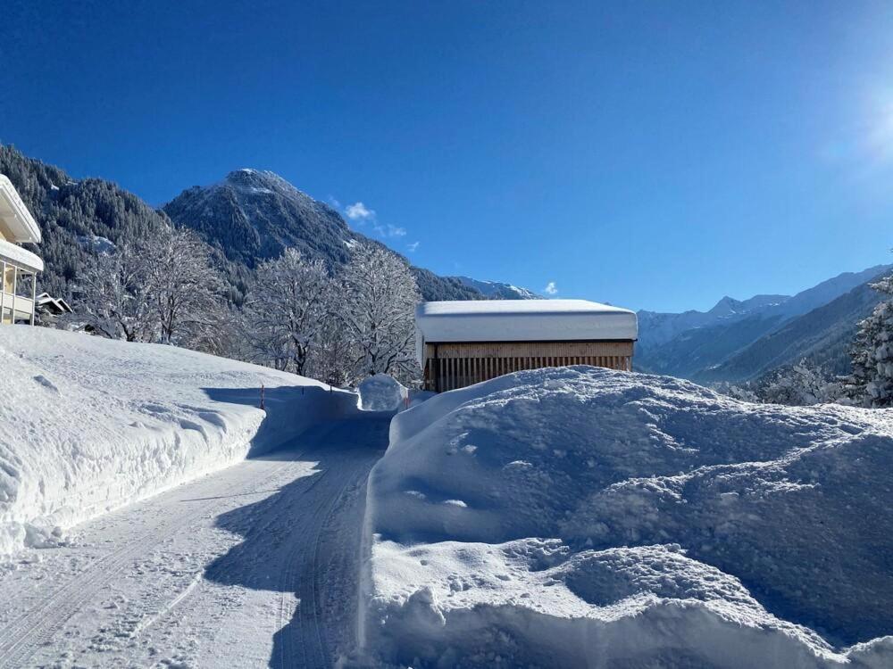 Apartament Haus Albuin St. Gallenkirch Zewnętrze zdjęcie